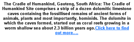 Text Box: The Cradle of Humankind, Gauteng, South Africa: The Cradle of Humankind Site comprises a strip of a dozen dolomitic limestone caves containing the fossillised remains of ancient forms of animals, plants and most importantly, hominids. The dolomite in which the caves formed, started out as coral reefs growing in a worm shallow sea about 2.3 billion years ago.Click here to find out more�.
